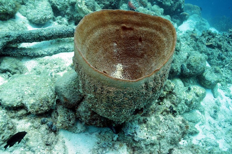 Curacao 04-12 198.JPG